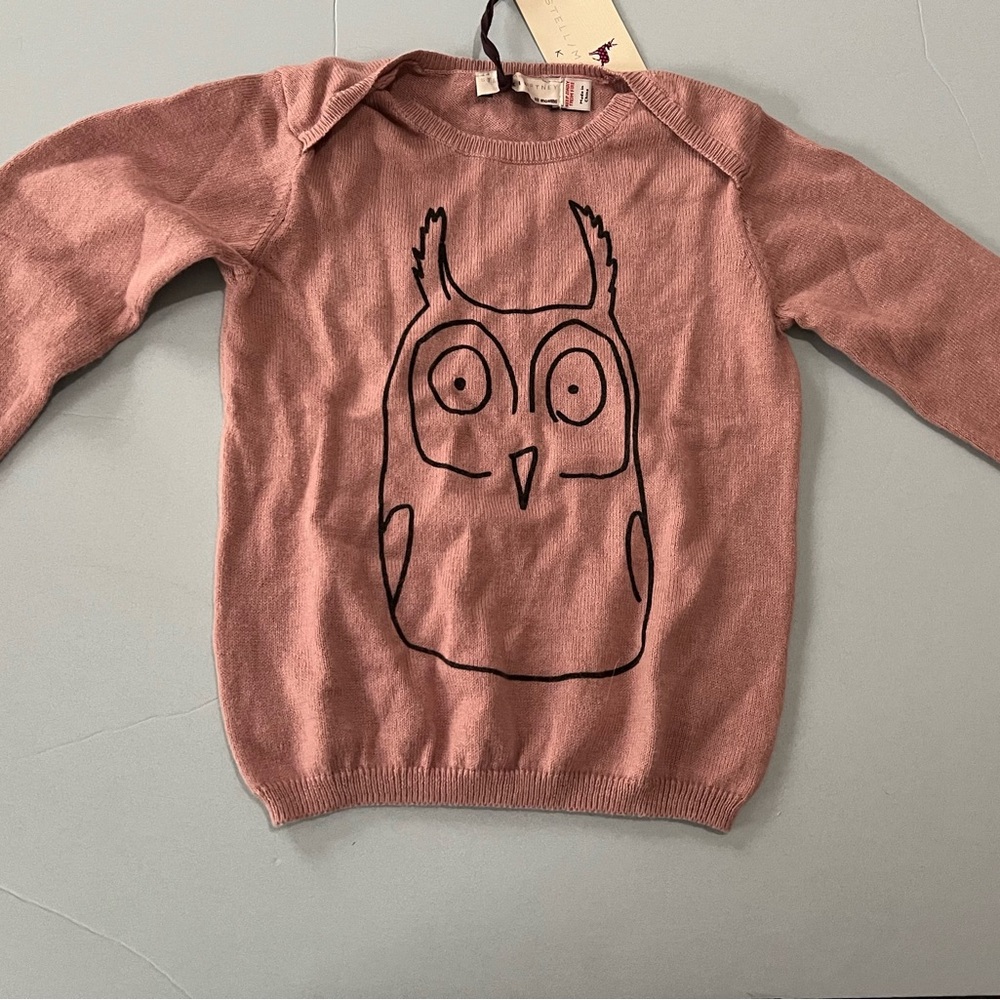 Stella McCartney Kids Horrace Baby Pullover Owl Sweater
